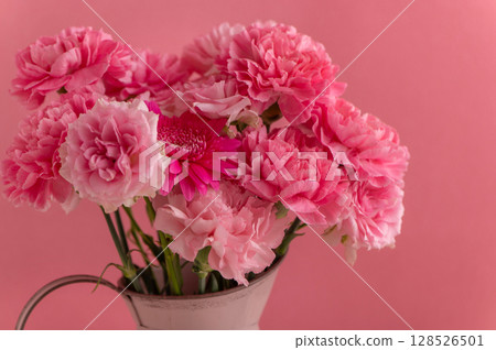 Pink Carnations Mother's Day Pink Carnations Mother's Day 128526501