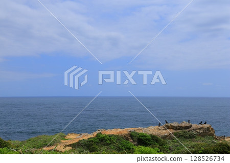 可以看到大海的地方 可以看到大海的地方 128526734
