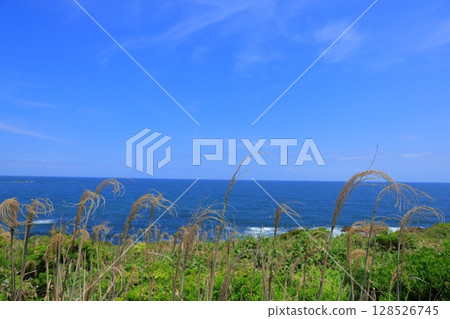 可以看到大海的地方 128526745