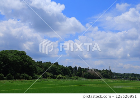 White clouds floating in the blue sky 128526951