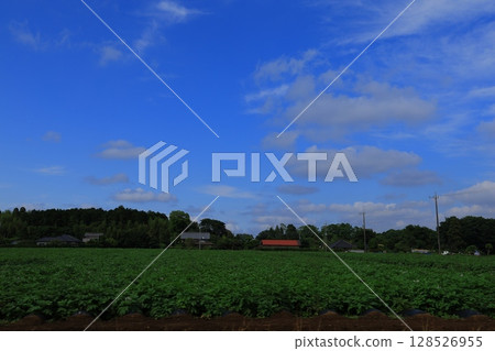 藍天白雲飄浮 128526955