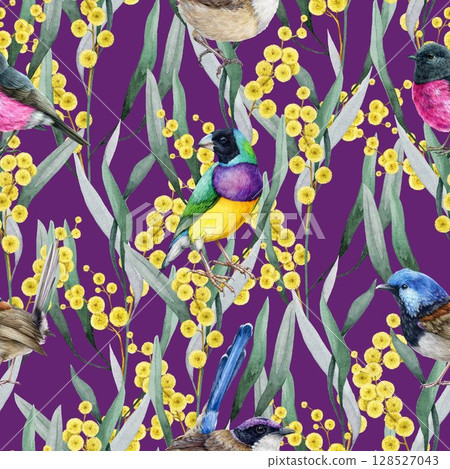 Golden wattle flowers with Australia native birds seamless pattern. Hand drawn watercolor illustration. Golden acacia floral decor with birds elegant pattern design on purple background 128527043