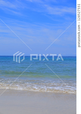 美麗的海灘 128527331