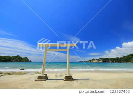 Beautiful beach 128527403