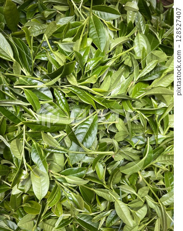 New tea New tea 128527407