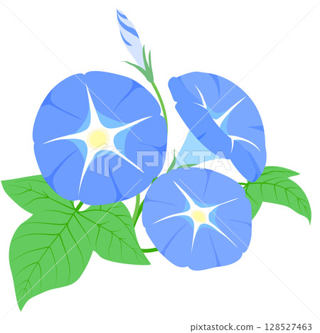 Simple blue morning glory illustration, color, no lines Simple blue morning glory illustration, color, no lines 128527463