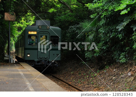 Train going through a forest tunnel 128528343