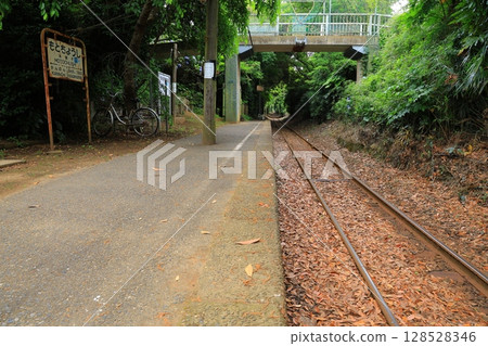 火車穿過森林隧道 128528346