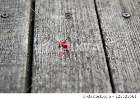 Red Fishing Maggots on a Hook Lying on Weathered Wooden Boards 128528561