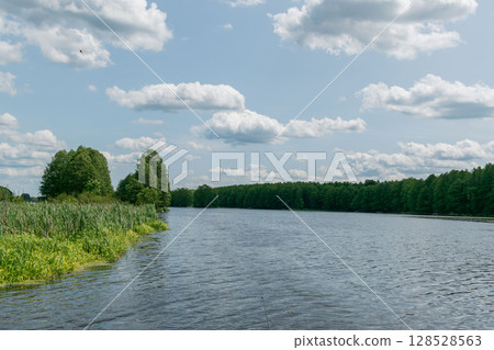 Lake View: Calm Waters, Green Reeds, and Distant Forest under Cloudy Sky 128528563
