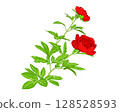 Red peonies 128528593