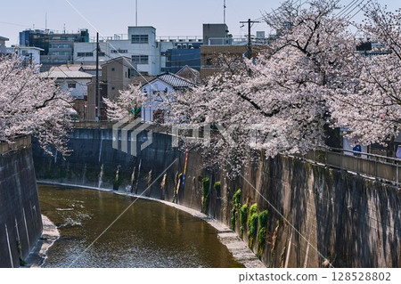 櫻花盛開的住宅區河畔景色（東京都板橋區石神井川） 128528802