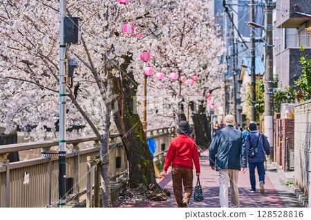 人們沿著盛開的櫻花樹散步（東京都板橋區石神井川） 128528816