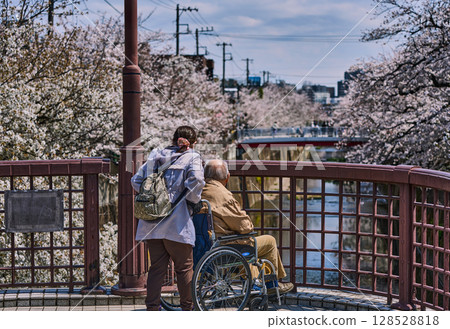一位老人在春天眺望石神井川的景象(東京都板橋區) 一位老人在春天眺望石神井川的景象(東京都板橋區) 128528818