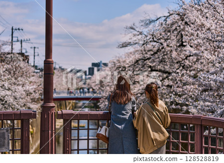婦女們凝視著盛開的櫻花樹（東京都板橋區石神井川） 128528819
