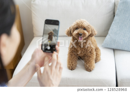 Image of taking a photo of your dog with your smartphone Image of taking a photo of your dog with your smartphone 128528968