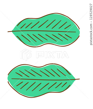 Banana leaf hand drawn illustration 128529027