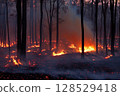 Fire in the forest with burning trees and shrubs, thick smoke and bright flames during natural disaster and wildfire 128529418