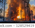 Forest fire with burning dry grass and trees, intense flames and thick smoke rising in woodland area, natural disaster and environmental destruction 128529419