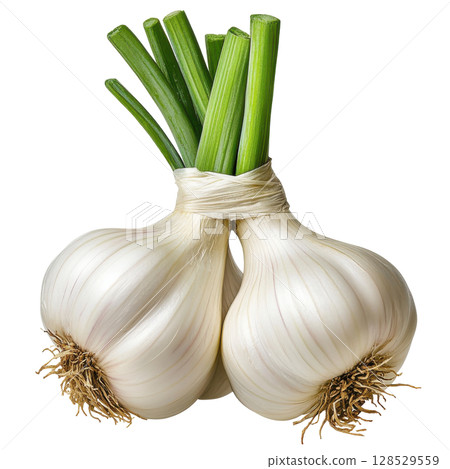 Garlic isolated on white background transparent PNG clipart. 128529559