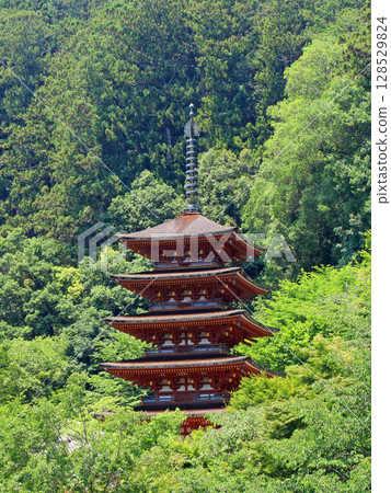 Hasederaji的五層寶塔 128529824