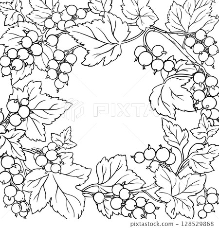 Black Currant Branch Outline Frame. Black Currant Branch Outline Frame. 128529868