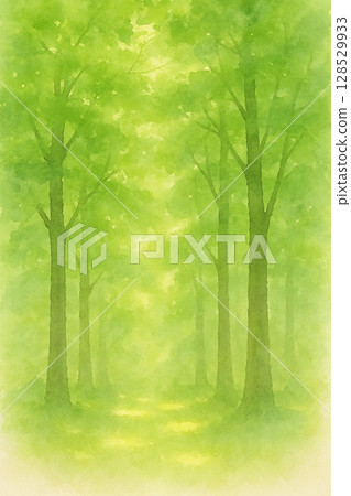 Soft background of fresh green forest and sunlight filtering through the trees 128529933