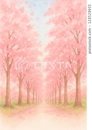 Spring road with cherry blossom trees in full bloom and petals falling 128529935