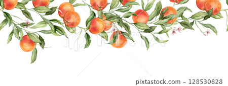 Seamless horizontal frame or banner tropical grapefruit with pink flowers. Hand drawn watercolor illustration on white isolated background. Citrus pattern for frame or banner. Fruit with green leaves Seamless horizontal frame or banner tropical grapefruit with pink flowers. Hand drawn watercolor illustration on white isolated background. Citrus pattern for frame or banner. Fruit with green leaves 128530828