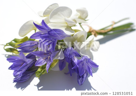 一小束藍紫色的三葉草和白色的夏季香豌豆 128531051