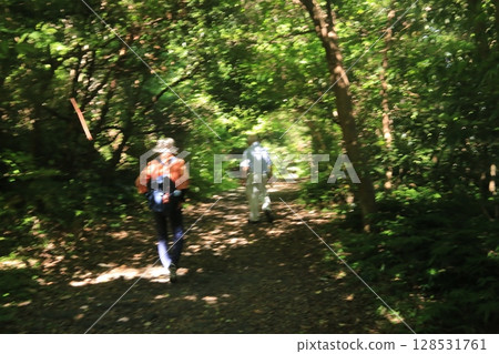 Stroll along the paths of Jogasaki Coast Stroll along the paths of Jogasaki Coast 128531761