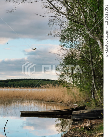 Slender heron soaring above calm lake surface, weathered wooden boats anchored near shoreline, swaying reeds framing cloudy spring landscape. Heron glides over lake, two wooden boats moored near shore 128532053