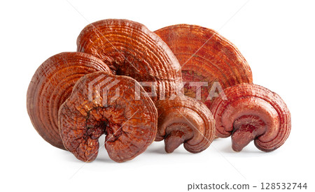 Lingzhi or Reishi mushroom isolated on white background. Lingzhi or Reishi mushroom isolated on white background. 128532744