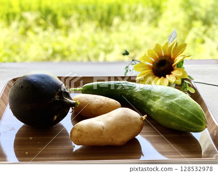 Harvested round eggplant, potato and cucumber_Sunflower and green background 128532978