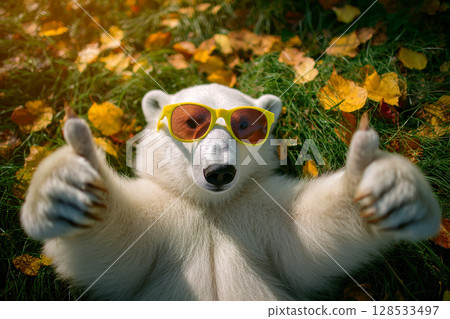 A happy polar bear wear yellow sunglasses gives two thumbs up while lying on vibrant green grass scattered with yellow leaves. 128533497