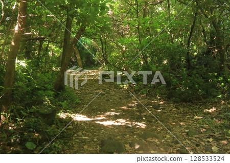 沿著城崎海岸的小路漫步 沿著城崎海岸的小路漫步 128533524