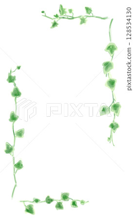 常春藤插圖集,植物自然風格。 常春藤插圖集,植物自然風格。 128534130