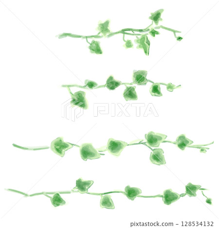 常春藤插圖集,植物自然風格。 常春藤插圖集,植物自然風格。 128534132