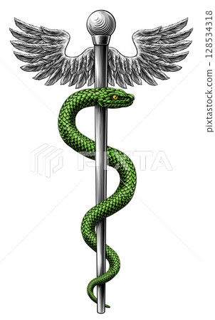 Rod of Asclepius Caduceus Medical Doctor Symbol Rod of Asclepius Caduceus Medical Doctor Symbol 128534318