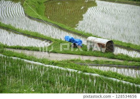 Scenery of rice terraces Scenery of rice terraces 128534656