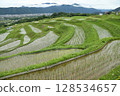 Scenery of rice terraces 128534657