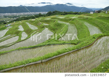Scenery of rice terraces Scenery of rice terraces 128534657