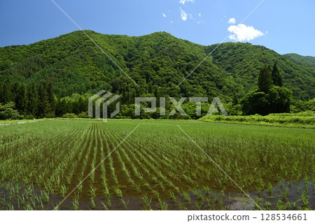 Satoyama的田園風光 128534661