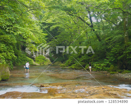 A couple walking in the fresh green 128534890