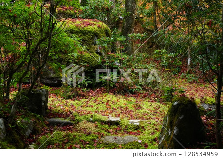 Garden of Saige-ji in autumn of Kyoto Garden of Saige-ji in autumn of Kyoto 128534959