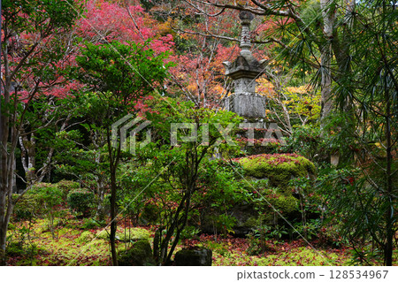 Garden of Saige-ji in autumn of Kyoto 128534967