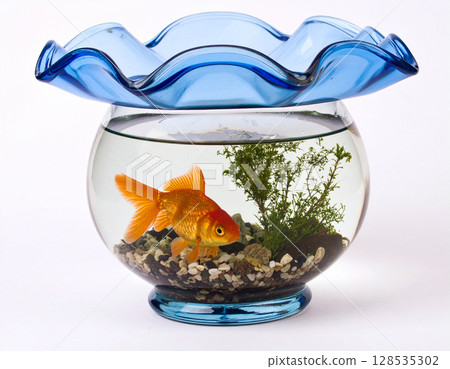 Goldfish in a fish bowl 128535302