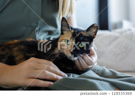 Fluffy cat portrait close-up with owner indoor Fluffy cat portrait close-up with owner indoor 128535369