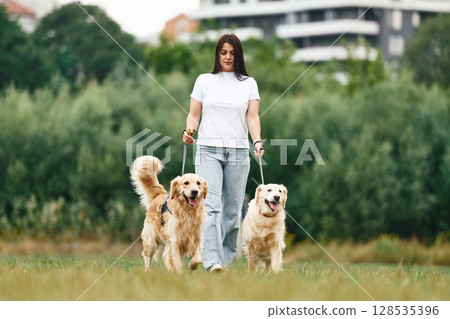 Holding animals by the leash. Woman with beautiful dogs are in the field outdoors Holding animals by the leash. Woman with beautiful dogs are in the field outdoors 128535396