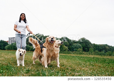 Standing and holding animals on the leash. Woman with beautiful dogs are in the field outdoors 128535450
